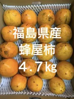 【無農薬】渋柿 蜂屋柿 箱込み4.7㎏ 干し柿用