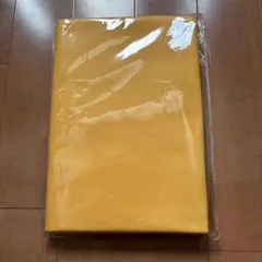 Item thumbnail for item 8f19411c-dd6c-4b54-abfc-af4849b3d819