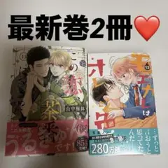最新巻2冊❤️この恋、茶番につき!?(13)