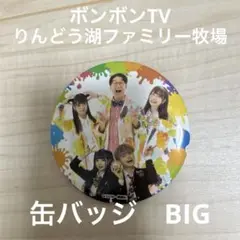 レア　カラフル ボンボンTV りんどう湖ファミリー牧場　缶バッジ