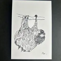 ボールペン画　ナマケモノ