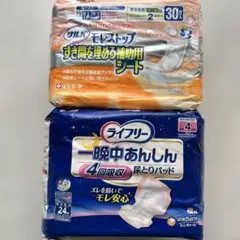 Item thumbnail for item 18404839-521d-4c34-a49b-d064cde04b6e