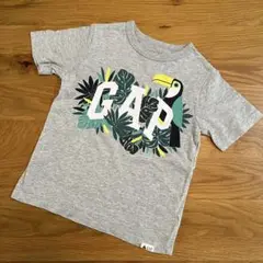 GAP キッズ Tシャツ 100 トゥカン柄 グレー 半袖 男の子　女の子