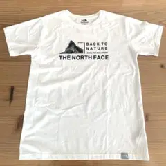 THE NORTH FACE BACK TO NATURE Tシャツ Lサイズ
