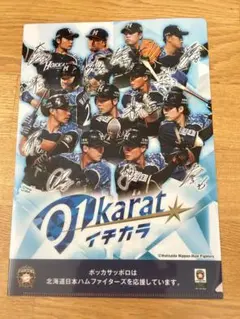 中田翔　日ハム時代　クリアファイル