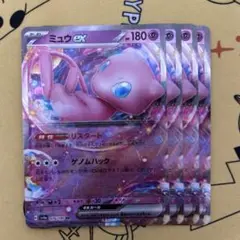②ミュウex p RR4枚セット