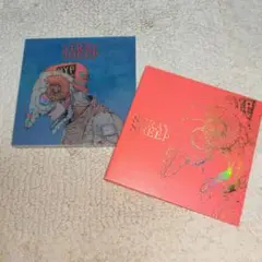 米津玄師 STRAY SHEEP DVD付きアートブック盤