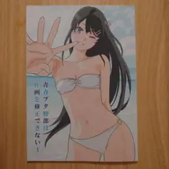 C106 たむらみかん 青春ブタ野郎は作画を修正できない1
