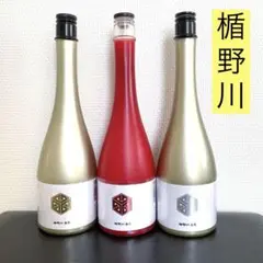 盾野川まとめ売り 2025年最新】楯野川の人気アイテム - メルカリ