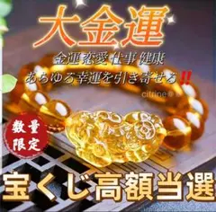 「大金運お守り」金運・恋愛・仕事運・強運・開運・幸福・宝くじ高額当選✧