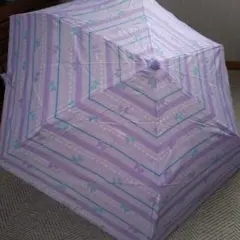 Item thumbnail for item 118d34d8-8d47-47ea-b628-85249862df42