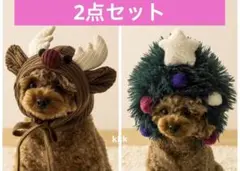 Item thumbnail for item 0563d5d7-43bb-4751-af0c-b02de02f919f