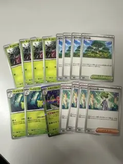 メガニウム進化ライン　活力の森　ミツルの思いやり