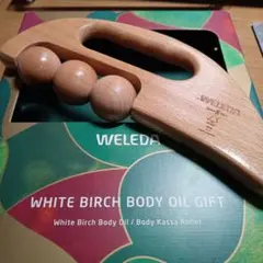 Item thumbnail for item 8e7d2f36-a9bb-4da4-8433-7288e5a5991e