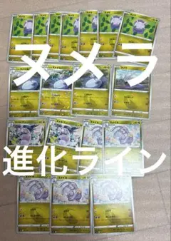 ヌメラカードセット（ホロカード含む）
