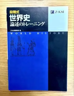 段階式世界史 論述のトレーニング Z-KAI 未使用