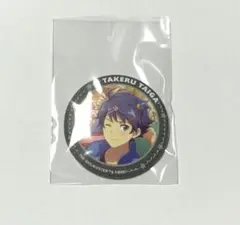 大河タケル　リメショ　缶バッジ　SideM