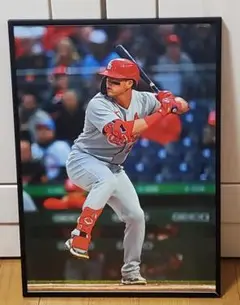 SLカージナルス ヌートバーMLB！A3サイズポスターフレーム付き①
