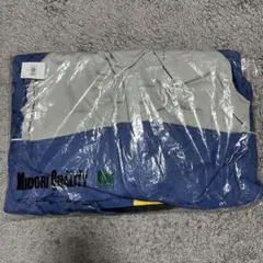 Item thumbnail for item 6a5828fe-14ee-41dd-9f51-4eacbeaf4433