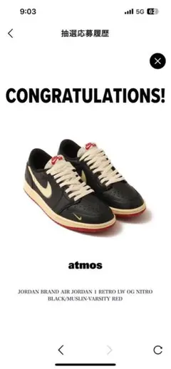 JORDAN AIR JORDAN 1 RETRO LOW OG NITRO