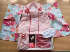 Item thumbnail for item 1652850f-9571-46df-b65d-60f67ead572d