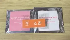 SMTOWN LIVE 2025 in TOKYO ネームバッジ　ソヒ
