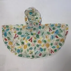 Item thumbnail for item a81883ef-7cc0-4d81-97ae-112638115b1d