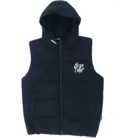 Item thumbnail for item 464fe86c-a86a-48f3-b763-95fb5e3364fd