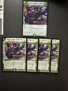 ナチュラルトラップ　5枚　②