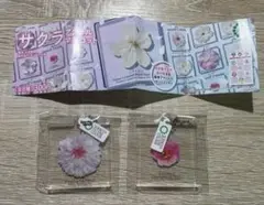 サクラ　桜　アクリル　マスコット　キーホルダー　ガチャガチャ