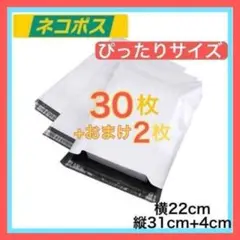 Item thumbnail for item 13d8decd-a6cd-4f67-950f-f995e47c2580
