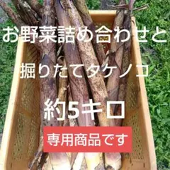 4月8日 早朝掘り　タケノコ　10キロ 2025年最新】たけのこ 10キロの人気アイテム - メルカリ