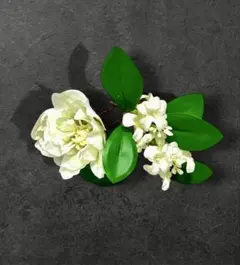 Item thumbnail for item ad288c7f-2de1-473d-bf5b-816feed1c14b