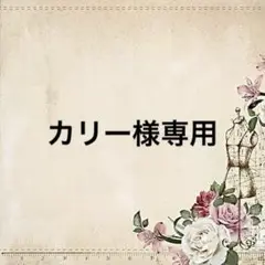 専用