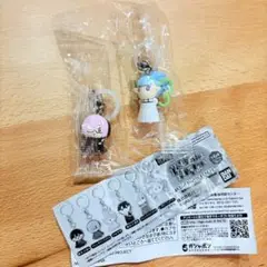 藤丸立香はわからないめじるしアクセサリー マシュ　ラーヴァ/ティアマト　ガチャ