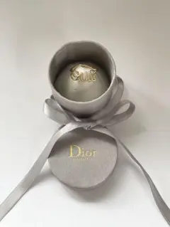 DIOR プリンセスリング　ピンクマジェスティ　未使用　保管品 2025年最新】dior プリンセスリングの人気アイテム - メルカリ