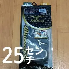 イチローモデル☆ミズノプロ(25㌢)