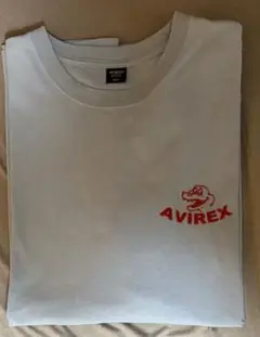 AVIREX ブルーグレー Tシャツ