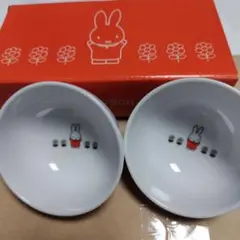 Item thumbnail for item 68c442d0-cf17-4237-91fc-6bace81c5f18