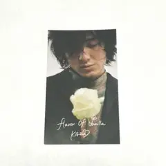 新品　藤井風　リップ 藤井風 グッズ リップの通販 by pitouchiko's shop｜ラクマ