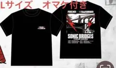 Item thumbnail for item 985fa573-cd66-471b-ad6b-c08bec0f5336