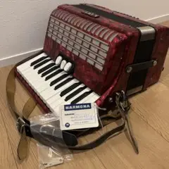 【美品】KAWAI アコーディオン26鍵 ハードケース付き KAWAI アコーディオン ハードケース付き 26鍵盤 48ベース - メルカリ