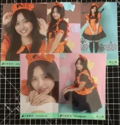 乃木坂46 2022ハロウィン 個別生写真5枚セット 井上和　コンプ