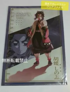 鬼滅の刃 胡蝶しのぶ 描き下ろしイラスト A4クリアファイル 無限城編