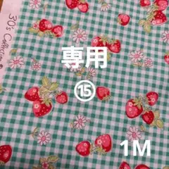 ⑮　専用　いちご生地