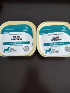 Item thumbnail for item 65f34f77-4103-4674-8019-85a8707a98f9