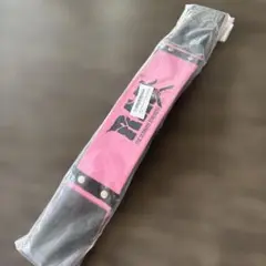 【未使用】RAD アームブラスター ピンク 筋トレ 上腕二頭筋