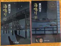藤沢周平『海鳴り (上・下)』 文庫本