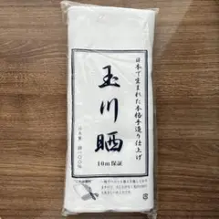 Item thumbnail for item 38870e20-1e1f-48e0-802f-3842ba9e6d70