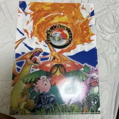 ポケモンカードゲーム コレクションファイル 2010年